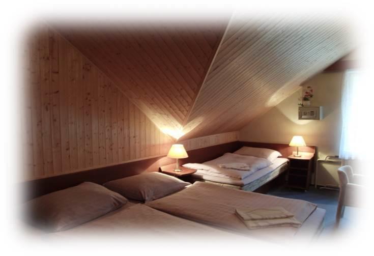 Hotel Prom Svoboda nad Úpou 部屋 写真