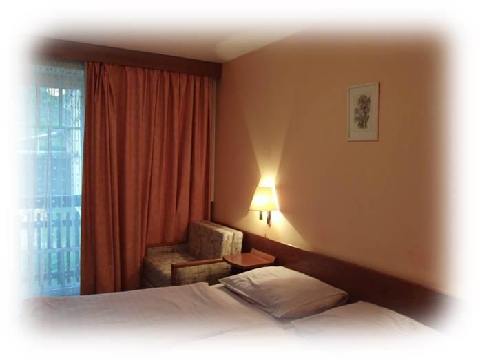 Hotel Prom Svoboda nad Úpou 部屋 写真